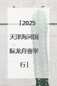 2025天津海河国际龙舟赛举行