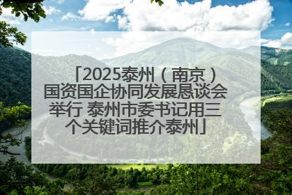 2025泰州（南京）国资国企协同发展恳谈会举行 泰州市委书记用三个关键词推介泰州