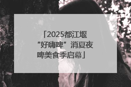 2025都江堰“好嗨啤”消夏夜啤美食季启幕