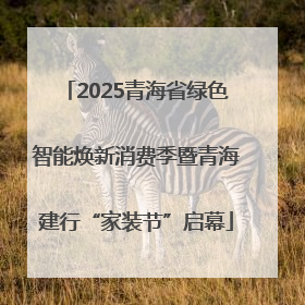 2025青海省绿色智能焕新消费季暨青海建行“家装节”启幕