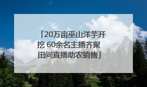 20万亩巫山洋芋开挖 60余名主播齐聚田间直播助农销售