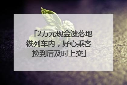 2万元现金遗落地铁列车内，好心乘客捡到后及时上交
