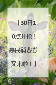 30日10点开抢！惠民消费券又来啦！