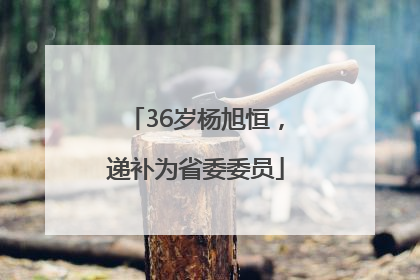 36岁杨旭恒，递补为省委委员