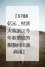 3788亿元，经济大省浙江今年新增债务限额同比涨两成