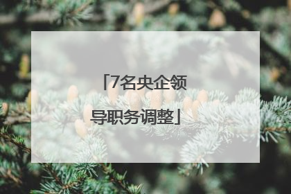 7名央企领导职务调整