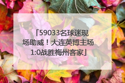 59033名球迷现场助威！大连英博主场1:0战胜梅州客家