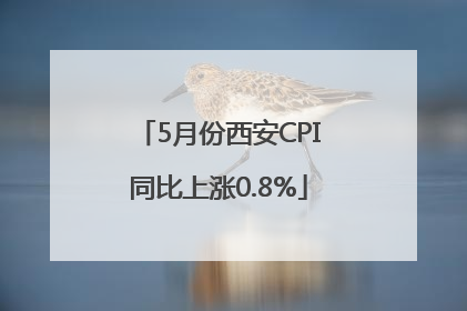 5月份西安CPI同比上涨0.8%