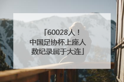 60028人！中国足协杯上座人数纪录属于大连