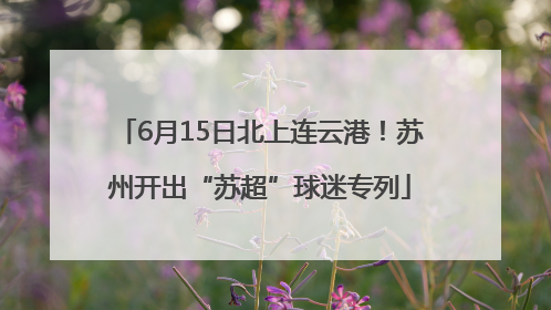 6月15日北上连云港！苏州开出“苏超”球迷专列