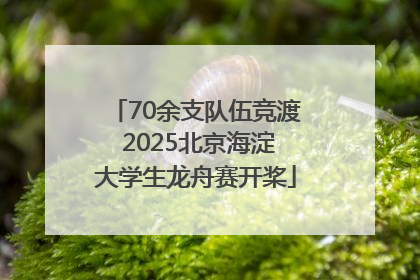 70余支队伍竞渡 2025北京海淀大学生龙舟赛开桨
