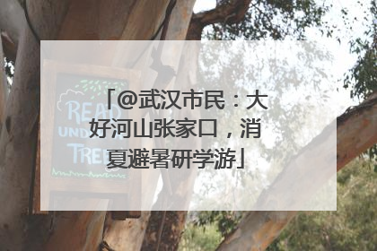 @武汉市民：大好河山张家口，消夏避暑研学游