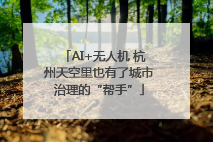 AI+无人机 杭州天空里也有了城市治理的“帮手”