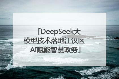 DeepSeek大模型技术落地江汉区 AI赋能智慧政务