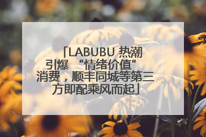 LABUBU 热潮引爆 “情绪价值” 消费，顺丰同城等第三方即配乘风而起
