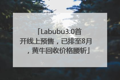 Labubu3.0首开线上预售，已排至8月，黄牛回收价格腰斩