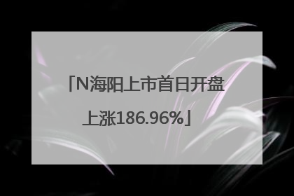 N海阳上市首日开盘上涨186.96%