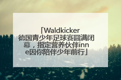Waldkicker德国青少年足球赛圆满闭幕，指定营养伙伴inne因你陪伴少年前行